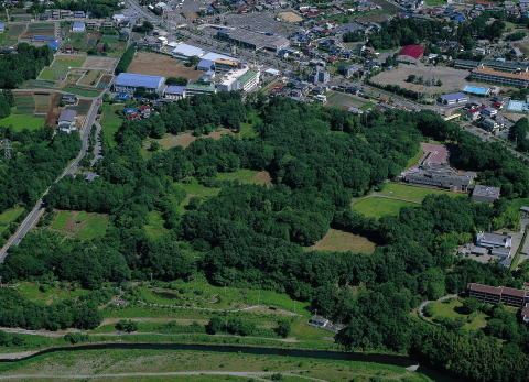 上空から見た菅谷館跡の写真