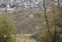大平山から小千代山を望む（春）の画像