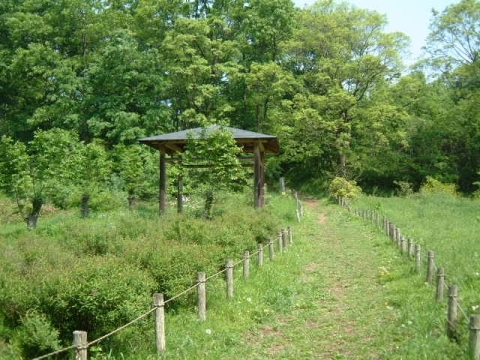 蝶の里公園のようすの画像