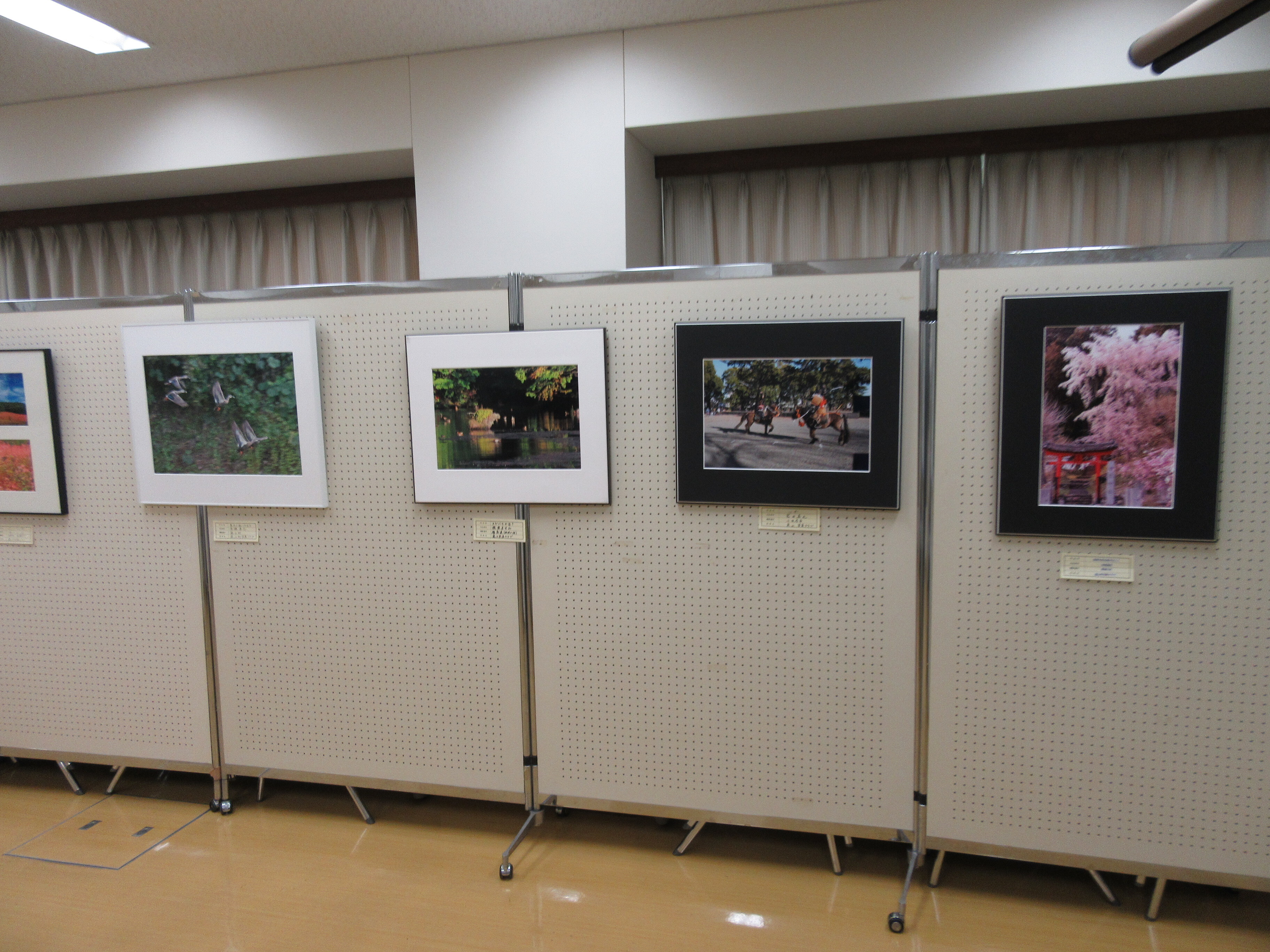 写真