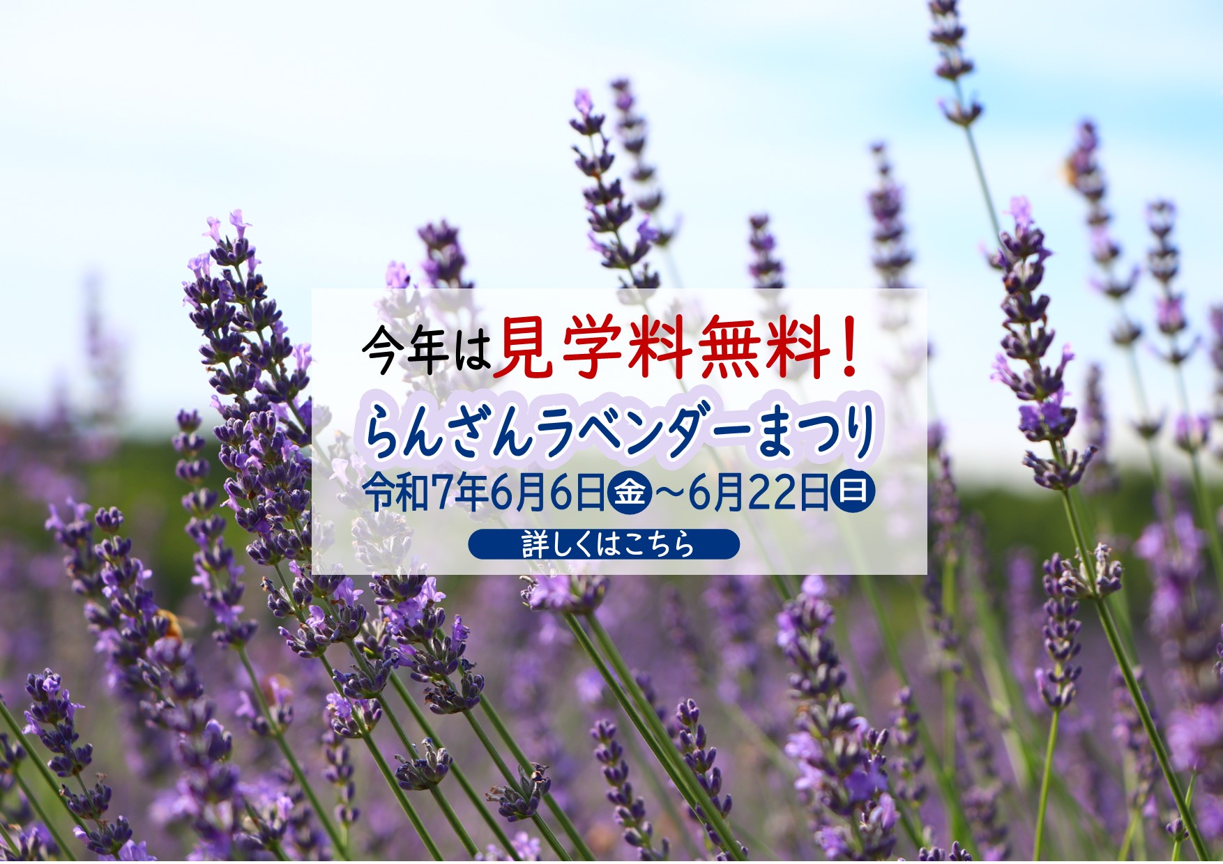 らんざんラベンダーまつり