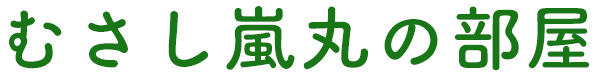 むさし嵐丸の部屋